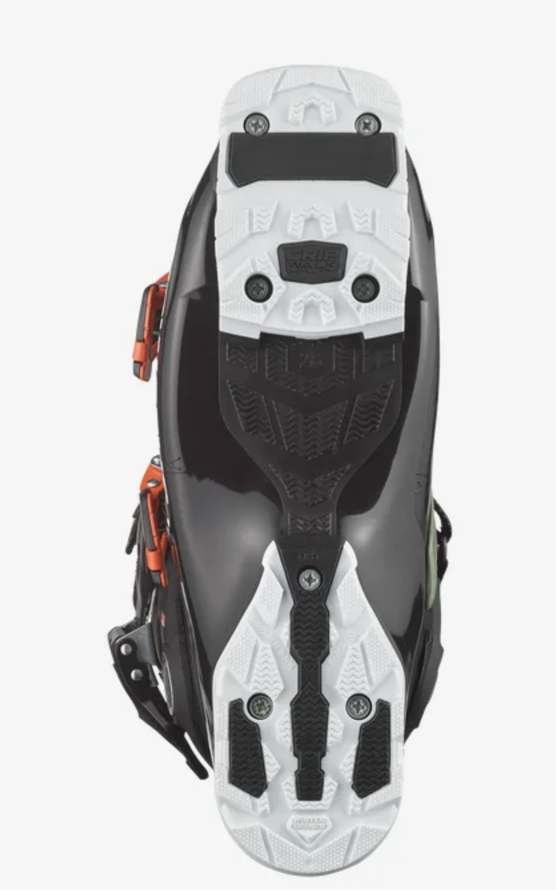 Salomon QST Access R80 GW
