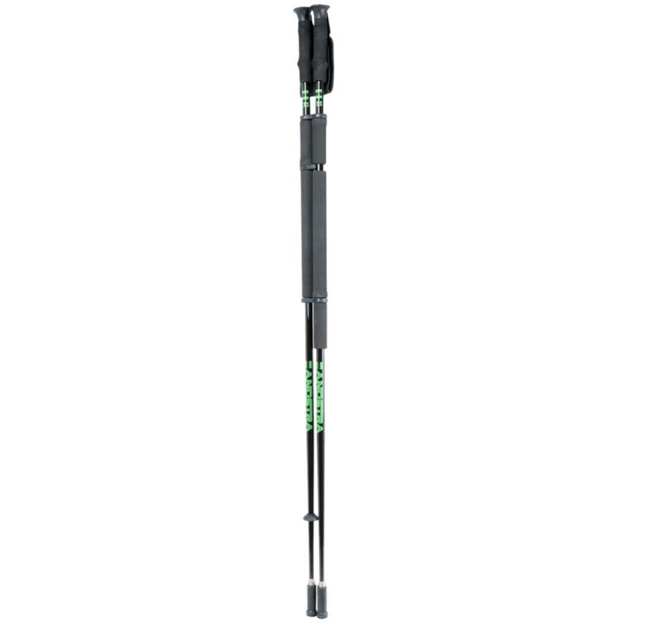 Ice pole Zandstra - Sporthandlarn